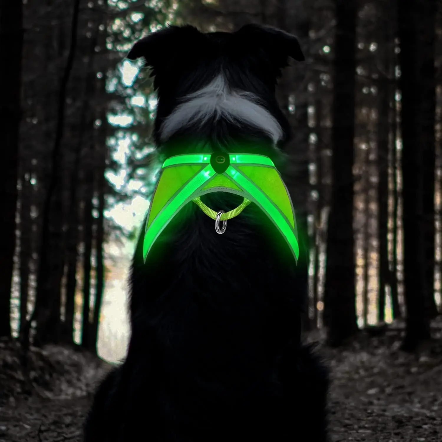 Light Up Dog Harness High Visibility Led Dog Harness for Night Walking USB Rechargeable Dog Harness for Small Medium Large Dogs