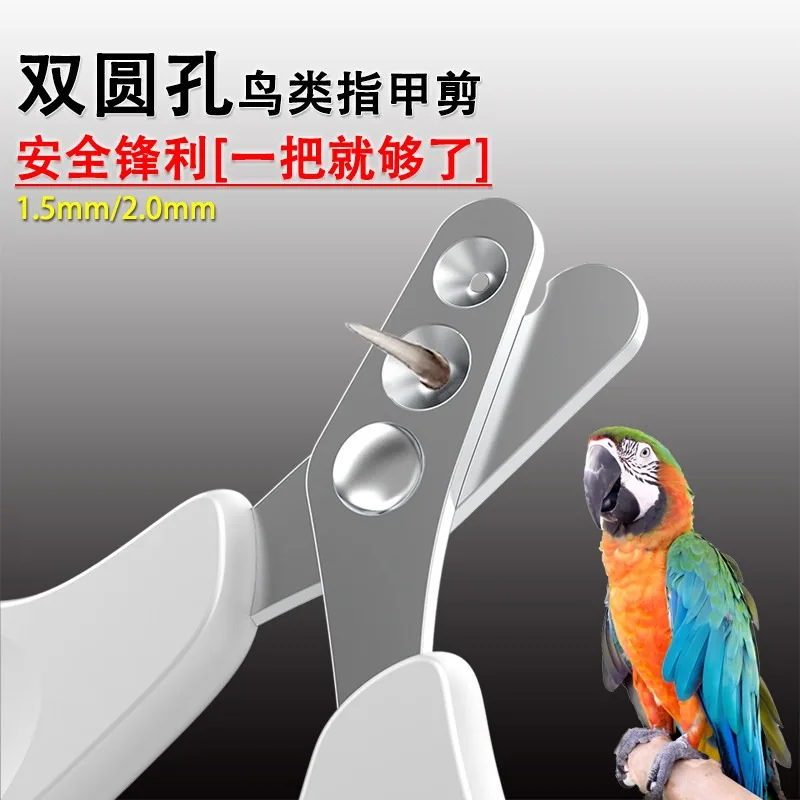 Parrot Nail Clipper Bird Grooming Tool Myna Claw Trimmer Small Pet Nail Cutter Stainless Steel Professional Beak Care Kit Safe