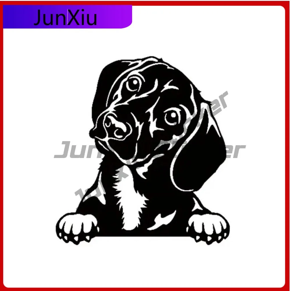 

Peeking Dachshund Decals for Retro Car Laptop Window Bumper Waterproof Vinyl Decal Accessory Cute Trendy Aesthetic Cute