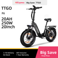 Ttgo F6 Adult Electric Bicycle 250W Men's E-Mountain ebike 36V20AH Battery,20 Inch Fat Tire Men's Electric Bike