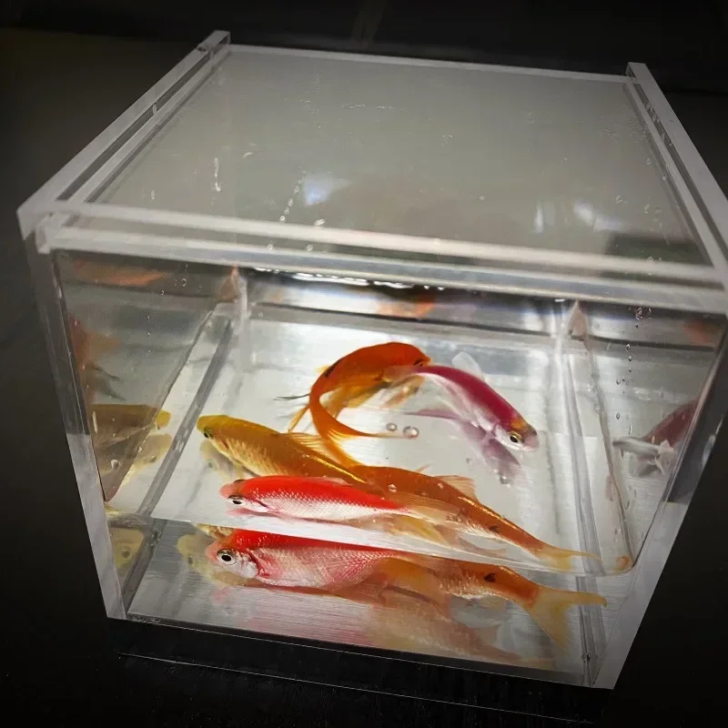 Acuario místico de gran tamaño de J.C Magic, accesorio de ilusión de escenario para fiesta y juegos de fiesta mágicos vudú, accesorio para trucos de mago