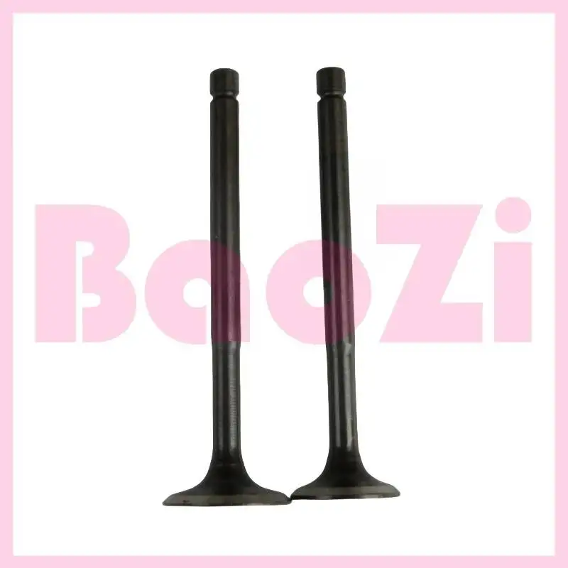 

Впускной и выпускной клапан двигателя/масляное уплотнение для Zonsen Piaggio Byq100t-e 100t-3 100t-2e