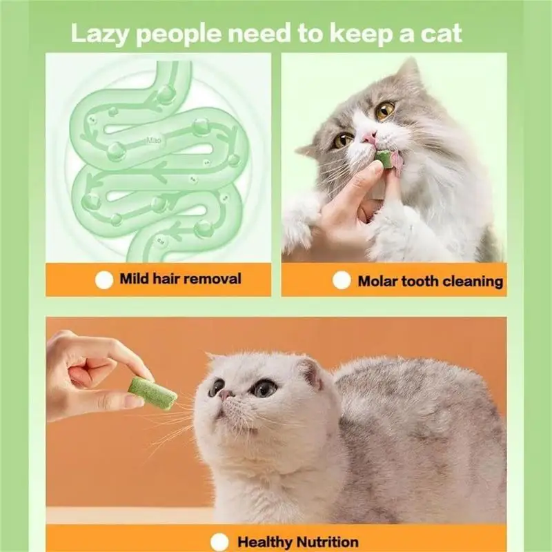 Chew Sticks For Cats Natural Pet Teething Sticks 6PCS Multifunctional Portable Chewing Sticks Nutrient Teething Sticks For Home