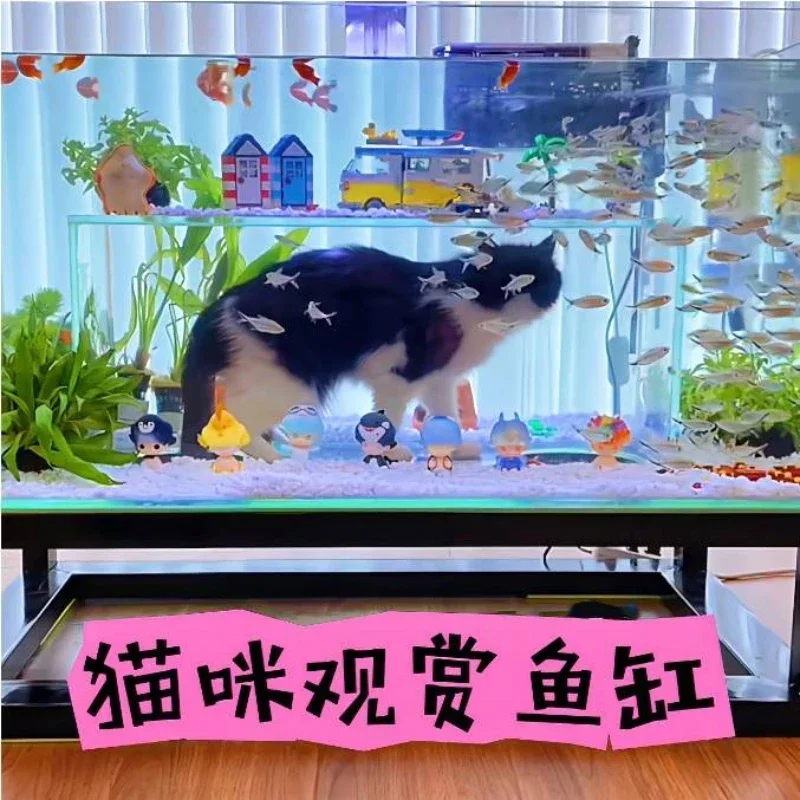 Cat Viewing Fish Tank Diamond Viewing Glass Cat Fish Cat