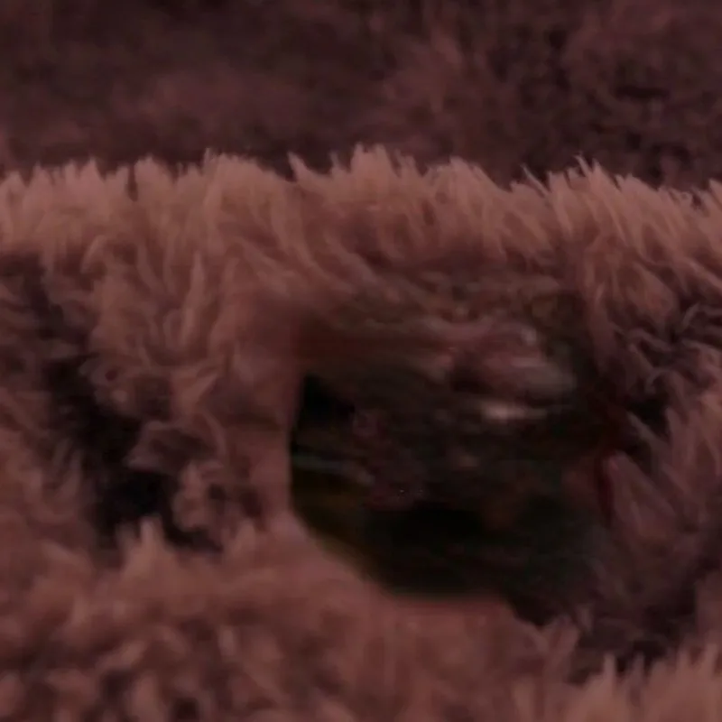 Autumn Winter Women's Padded Plus Size Cartoon Bear Pajamas Cute Coral Velvet Sleepwear Suit Long Sleeve Girls Loungewear Set