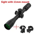 sight with 11mm