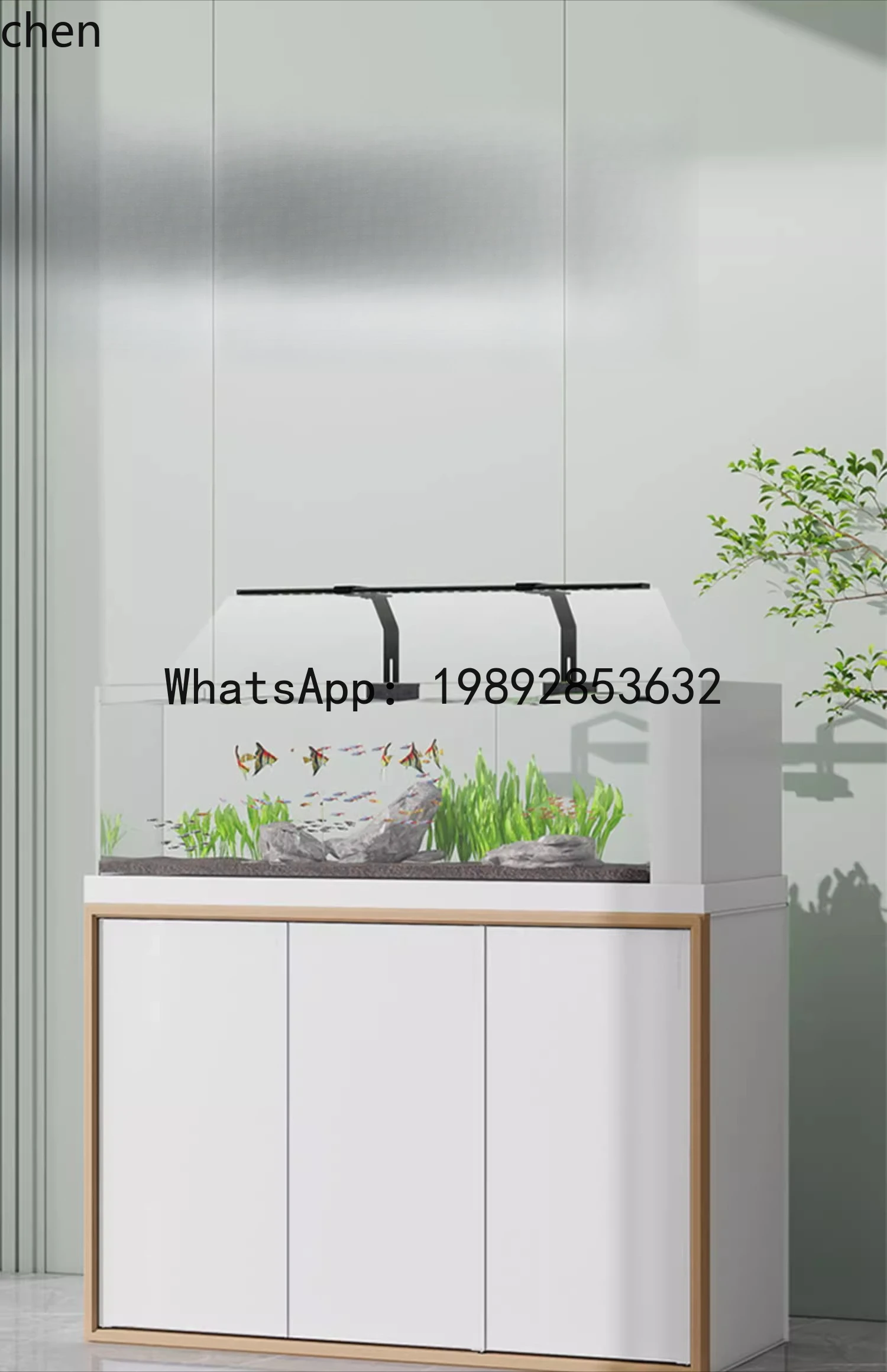 F1  stream tank cobblestone South American native tank creative landscaping Three Lakes ecological fish tank