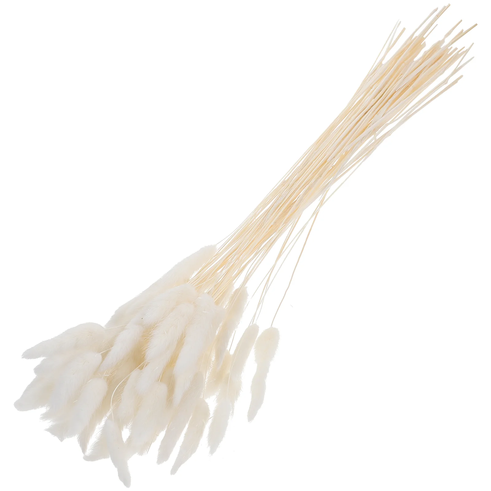 Dried Grass Pampas Decor Bunny Tail Decorative Flowers Pastoral Home Accessories Rabbit