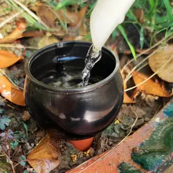 2Pcs Automatic Watering Tool Indoor Black Ball shape Drip Irrigation Watering System Potted Flower Potted Plant Waterers Bottle