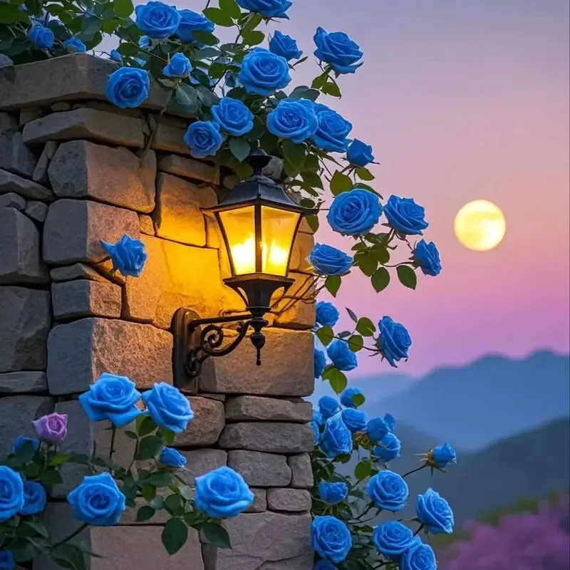 

3 in1 water hydro dermarbrasion machine hydro hydrodermabrasion facial vacuum face cleaning oxygen hydrodermabrasion device