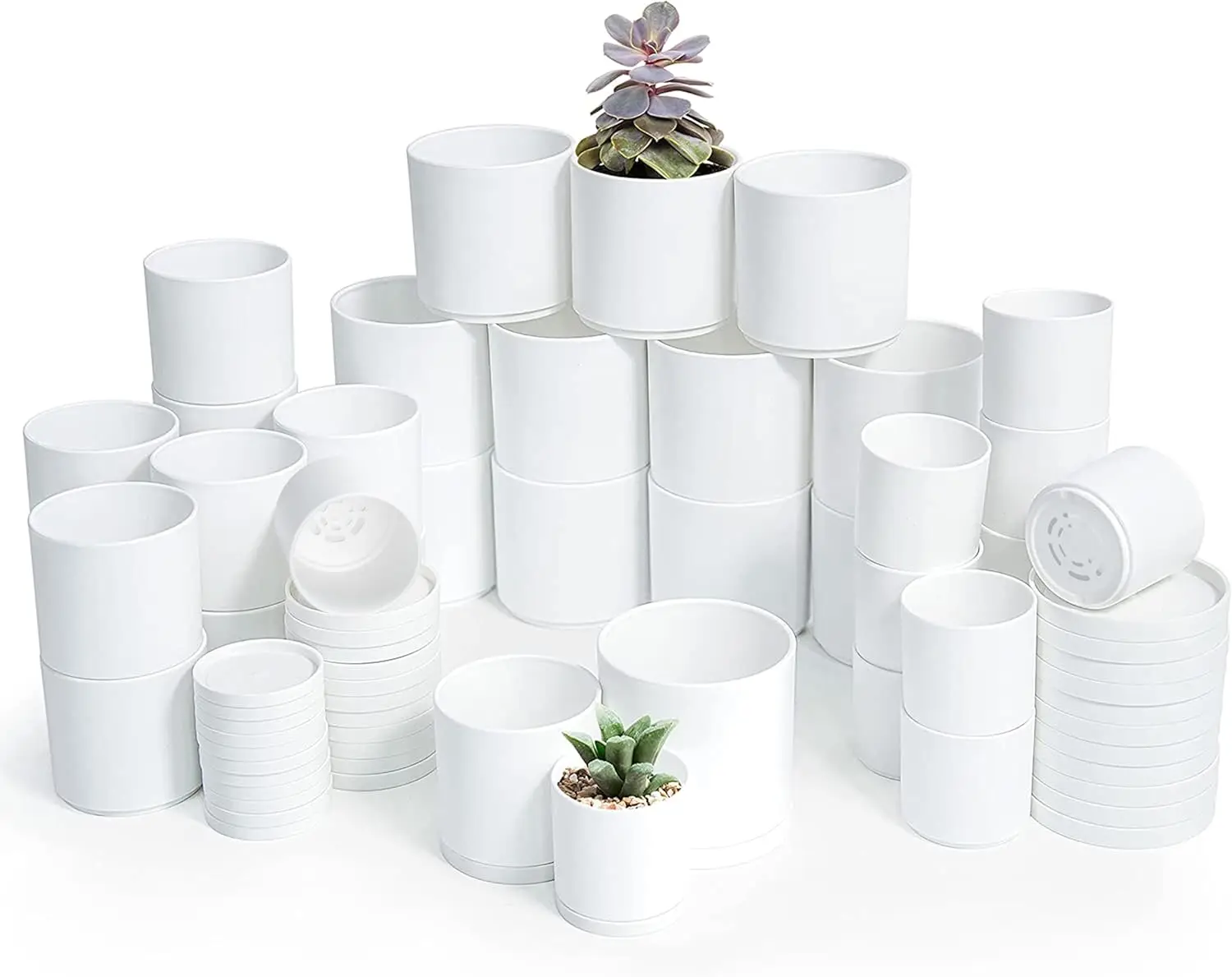 

Pack of 36 Plastic Plant Pots (12 Set of 2 Inch, 2.5 Inch, 3 Inch) Small Garden Planter Pots for Plant with Drainage Hol