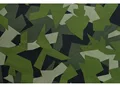 Swedish Camo