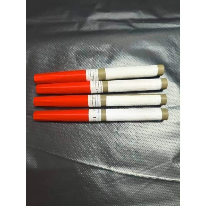 Non-functional Plug Pneumothorax Model