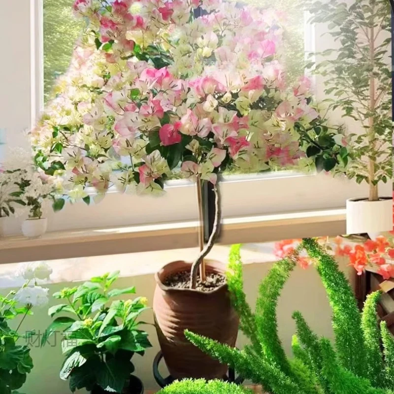 

Full Spectrum LED Grow Light for Indoor Plants - Sunlike Plant Growth Lamp with Auto Timer, Energy Saving Hydroponic Lighting