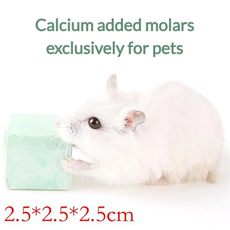 Hamster Teeth Grinding Square Molars Natural Calcium High Quality Teething Snacks Small Pet Teeth Grinding Pet Products Harmless