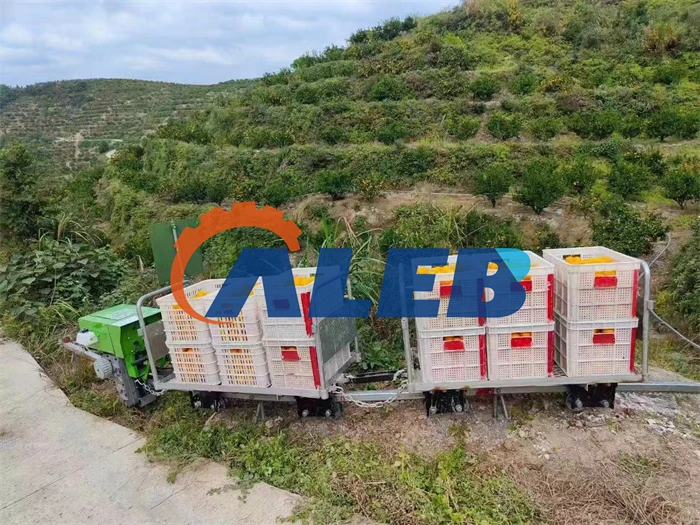 Selbstfahrender Monorail-Transportwagen für den Obstgartenberg/Hot Sale Monorail-Transportwagen