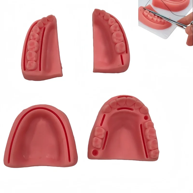 

1 Set Dental Gum Suture Practice Model Gum Wound Model Dental Oral Suture Practice Tool Dentist Silicone Suture Training Module