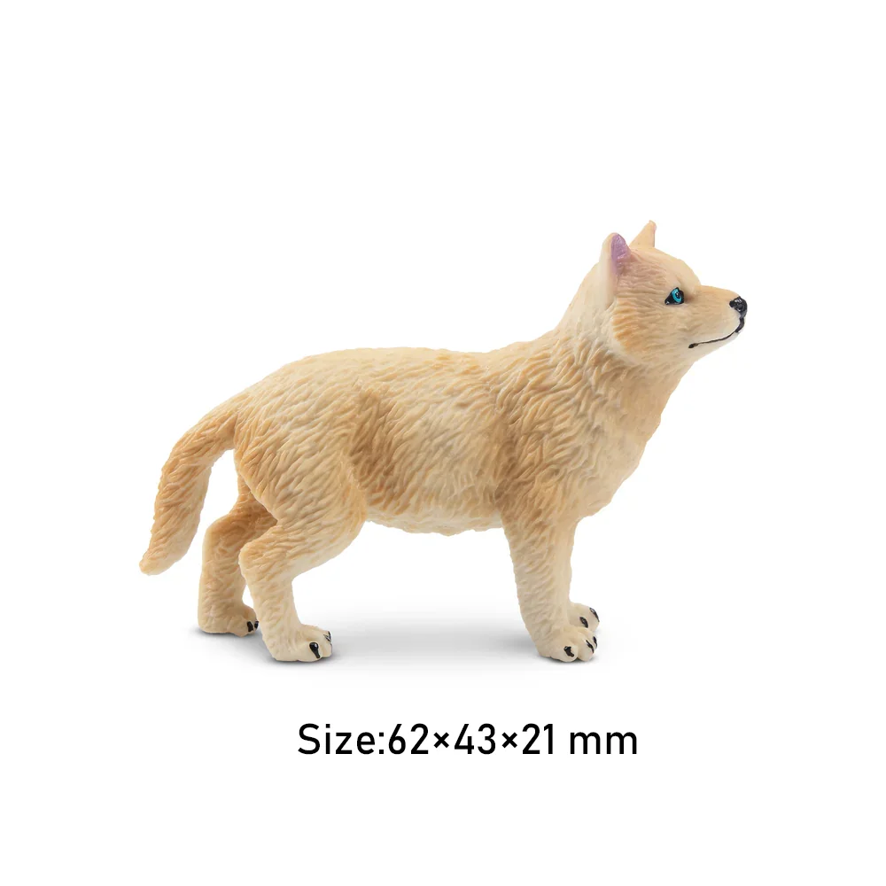 Toymany محاكاة الأبيض القطب الشمالي الذئب شبل الحياة البرية نماذج للحيوانات لعبة شخصيات صغيرة دمى عمل التماثيل لعب الأطفال هدية