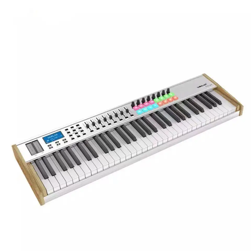 Worlde P-61 Pro 61key Midi Keyboard Controllers 61 Keys Digital Music Audio Studio Piano With Drums Pads For Musical Instruments