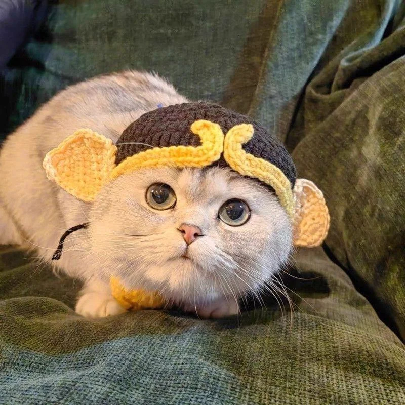 Pet Knitted Headgear Cats Dogs Knitted Hats cospaly Props Cute Headwear Funny Transformer Clothing