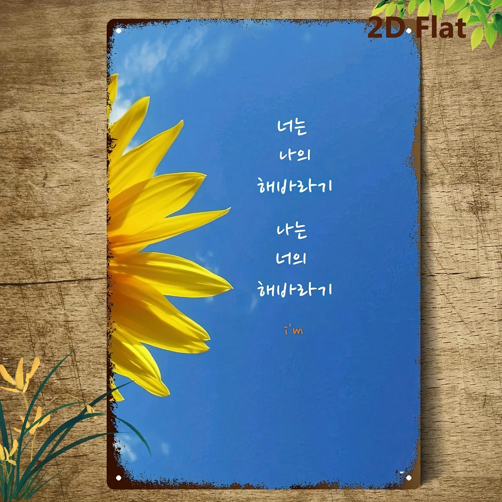 Korean Style Blue S…