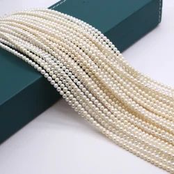 Punch Natural Freshwater Pearl Beaded Round Shape AA Pearl Loose Spacer Beads for Making Jewelry DIY Bracelet Necklace