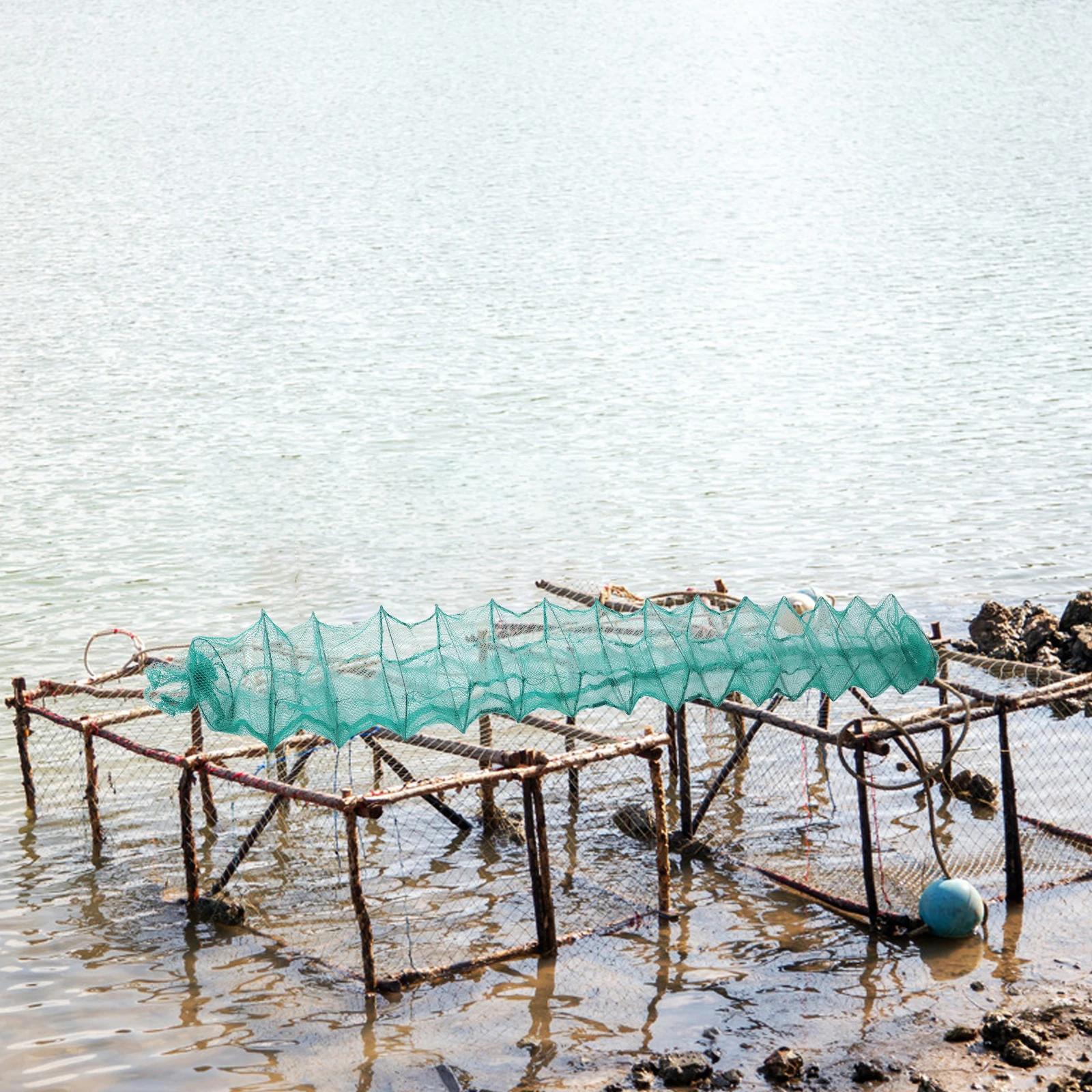 

Fishing Cage Net for Shrimp Crawfish Trap Supplies Portable Foldable Storage Easy Transportation Suitable Fish Tank Outdoor