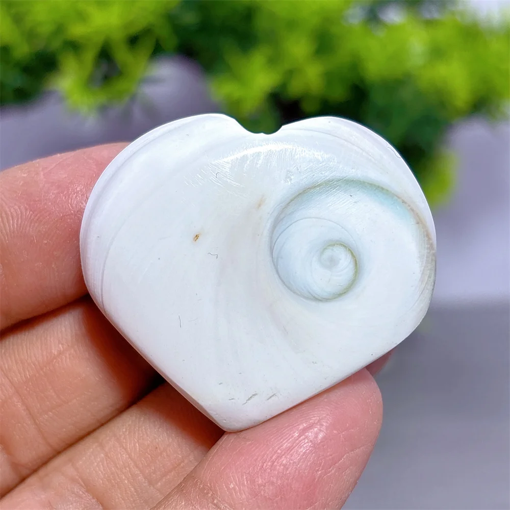 Sunshine Conch Heart Natural Crystal Home Garden Decoration Room Decor Luck Quartz Stone Healing Energy Love Gifts