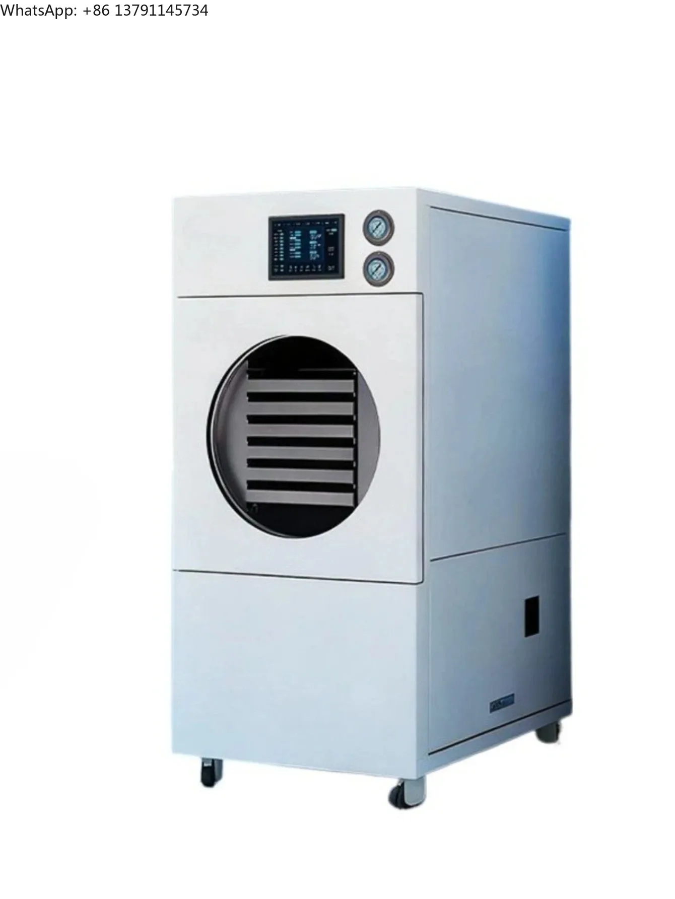 Freeze Dryer Commercial Intelligent Freeze Dryer for Food Pets Vacuum and Home Use for Fruits