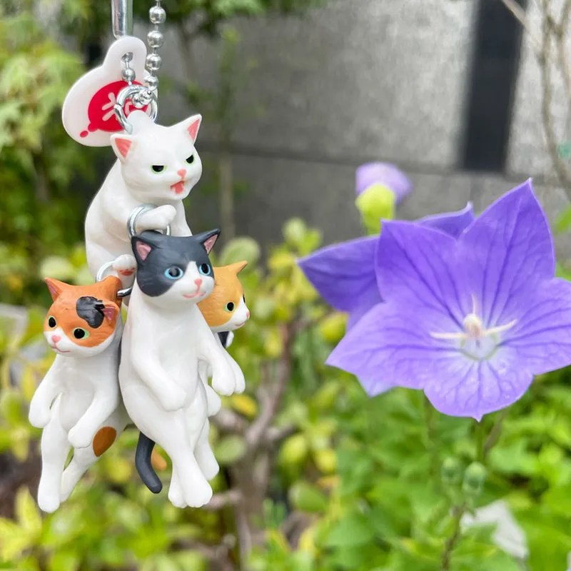 Original Japan Gashapon Figure Anime Cute Mini Pet Animal Angry Kitten Pendant Cat Model Keychain Kawaii Capsule Toys Boys Gift