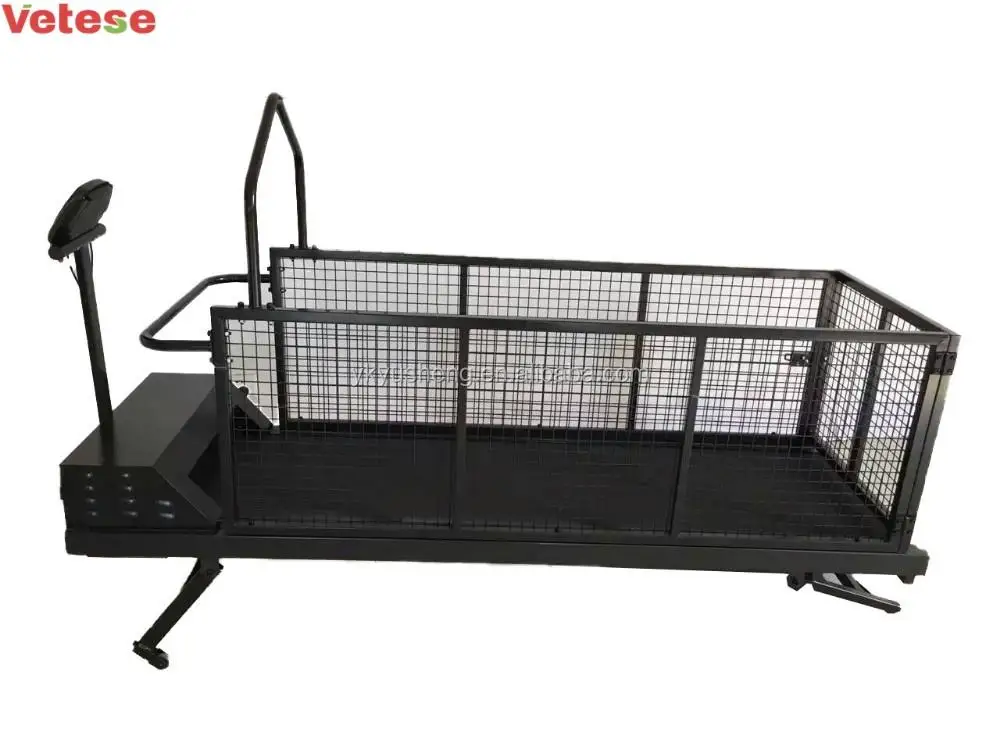 dog treadmill  home training walk equipment veterinary clinic hospital supplier