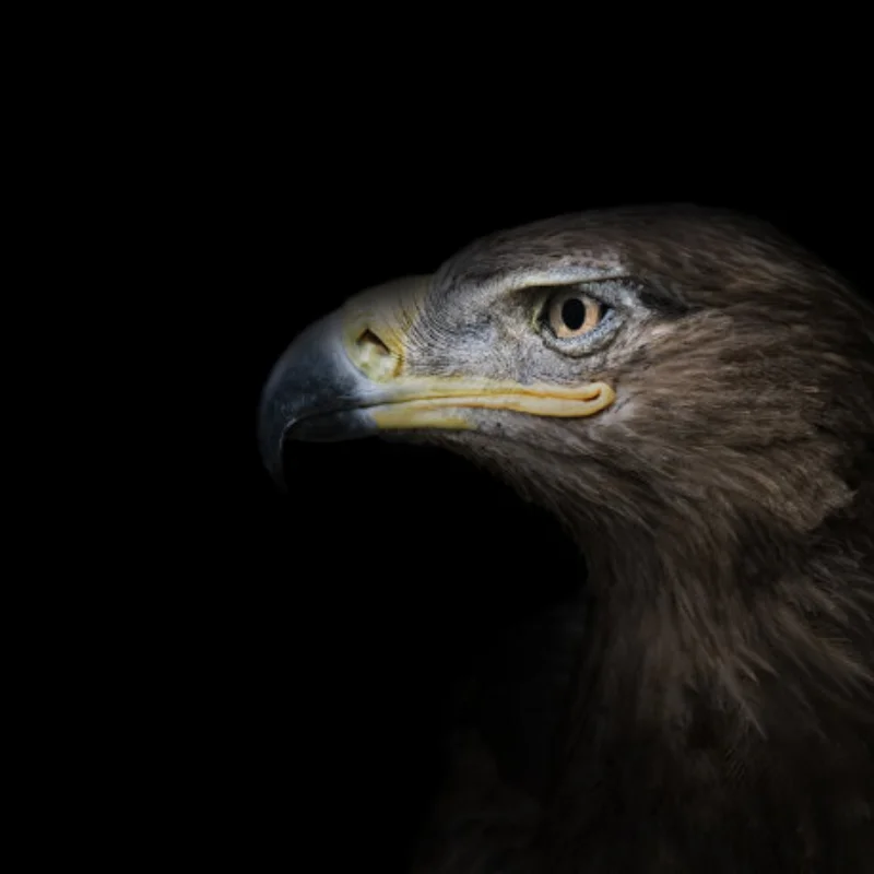 

1 SET Stainless Steel Skid Plate Chassis Armor & Axle Protector for Axial SCX10 PRO 1/10 RC Crawler Car Upgrade Parts