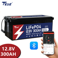 TezePower 12V 300Ah LiFePO4 Battery with Bluetooth, Self-heating and Active Balancer, Built-in Smart 200A Daly BMS