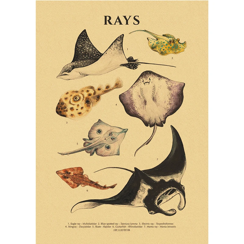 Abstract Marine Organisms Jellyfish Whale Squid Fishes Kraft Paper Posters Prints Wall Art Picture for Room Home Decor