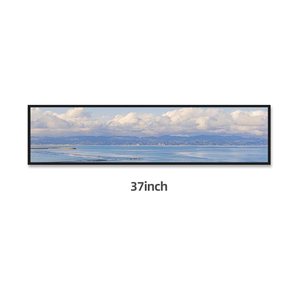 Display pubblicitario LCD con barra elastica per schermo video da parete con display pubblicitario LCD di grandi dimensioni per supermercato