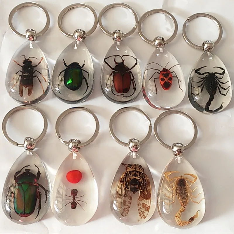 1PC New Resin Insect Keychain Scorpion Insect Specimen Pendant Random Color Cute Keychain