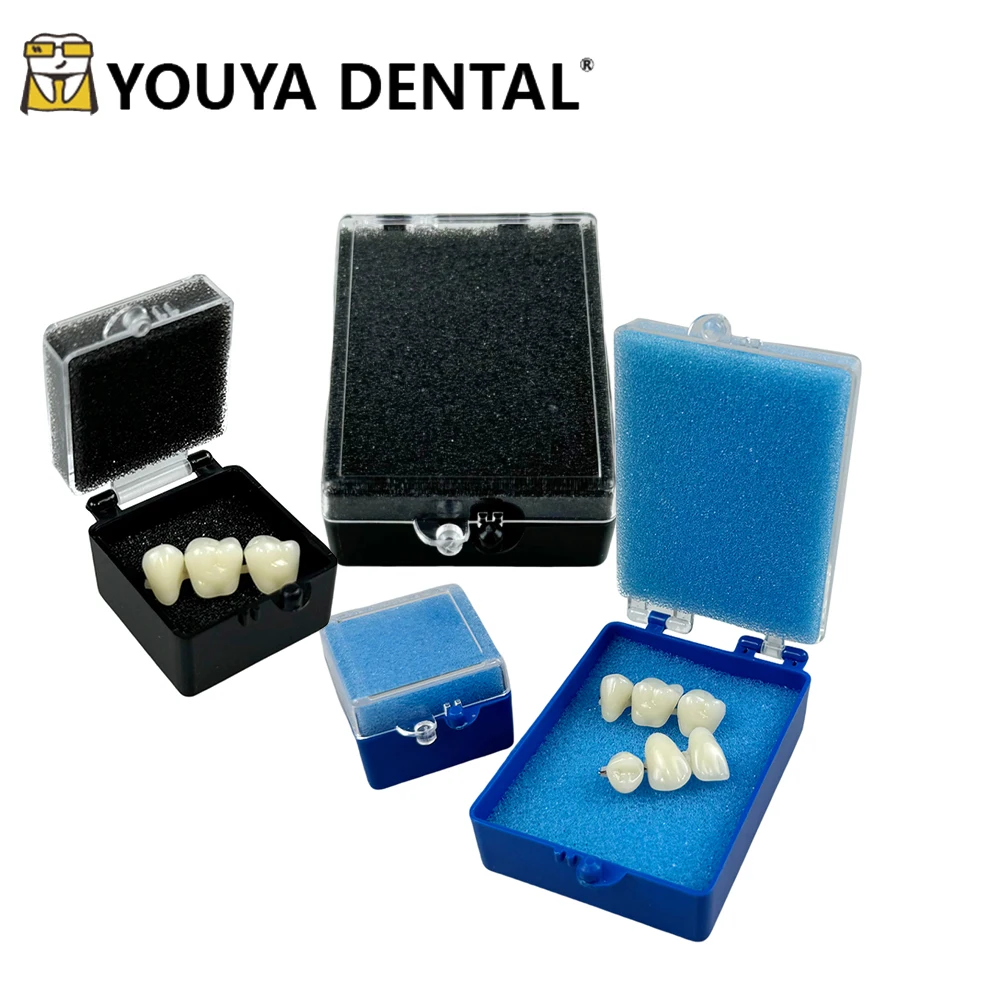 50PCS Dental Implant Storage Box With Sponge Denture Plastic Denture Storage Box Dentistry Tool Laboratory 1/2 inch