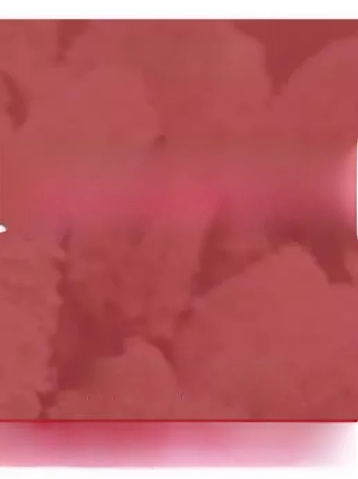 

Коллекция Sweet Beach Vaion Dr: Женское платье с длинными рукавами и пуговицами, праздничная одежда, китайский бренд