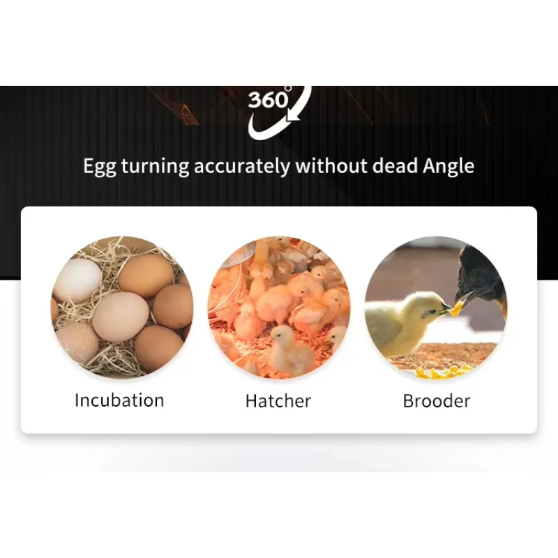 Incubadora profissional de ovos 1000, nova máquina de incubação de material pp para frango, pato, ganso e peru, certificação ce, venda quente