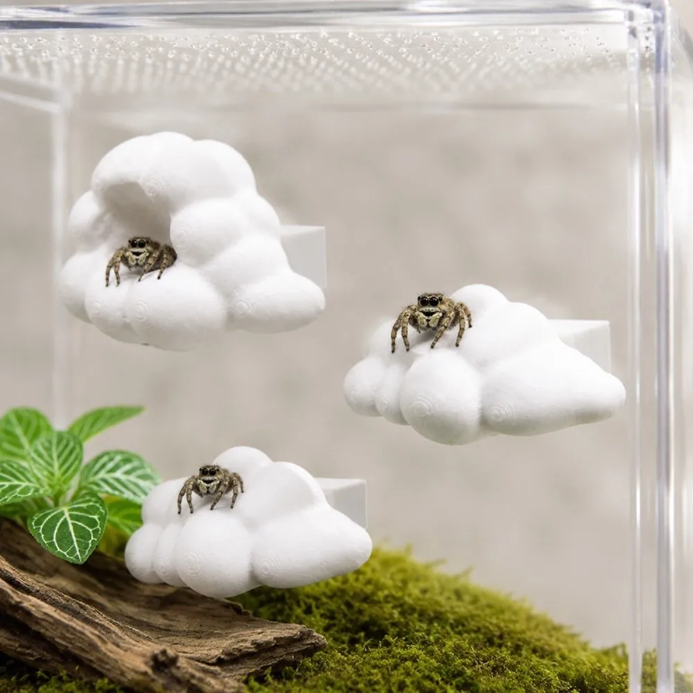 Mushroom-shaped Jumping Spider Platform Cloud-shaped Magnetic Spider Habitat Hideout Decorative Stable