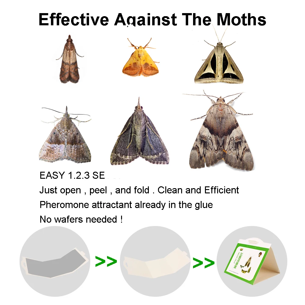 5pcs Clothes Pantry Food Moths Pheromone Killer Sticky Glue Trap Pest Reject Fly Insects Moth pheromone Trap