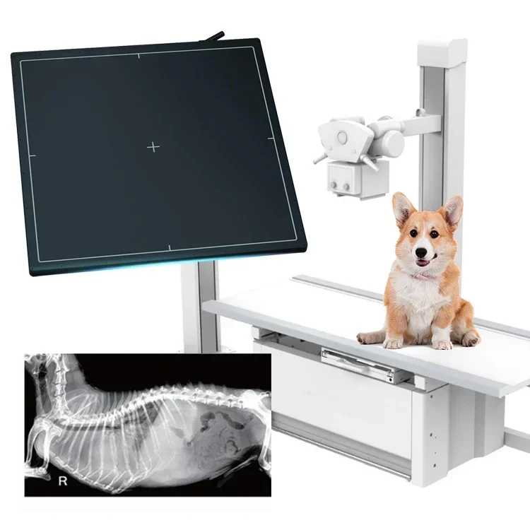 Human Veterinary Wire Flat Panel X Ray Detector For Digital Radiography