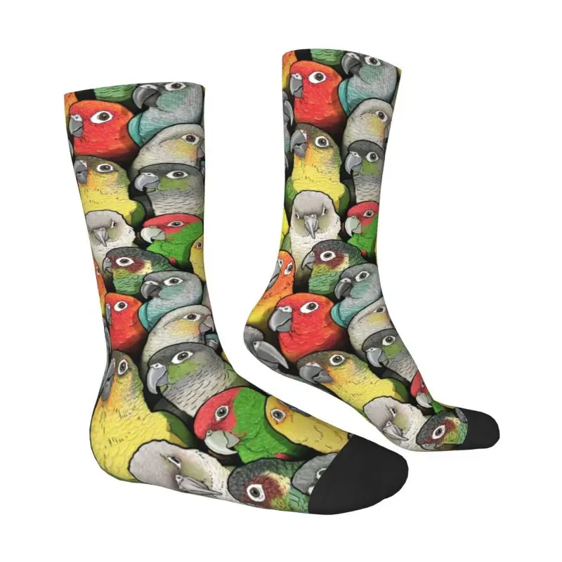 Colour Of Conure Birds Mens Crew Socks Unisex Funny Cute Parrot Spring Summer Autumn Winter Dress Socks