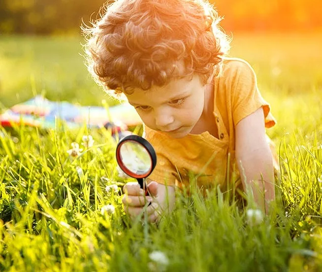 Portable high-power magnifying glass for middle school biology students majoring in optics