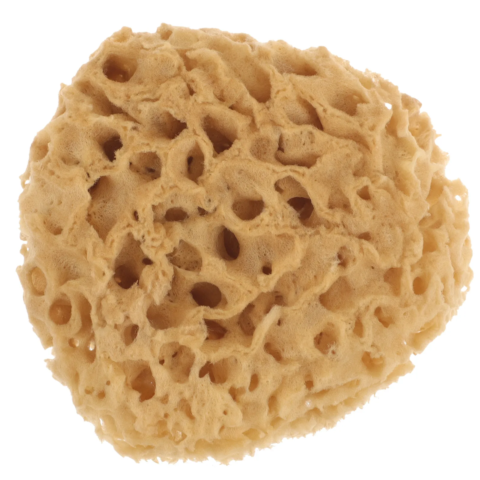 

Portable Bath Ball Natural Sponge with Honeycomb Netting for Easy Lather Ideal Shower Sponge for Sensitive Skin