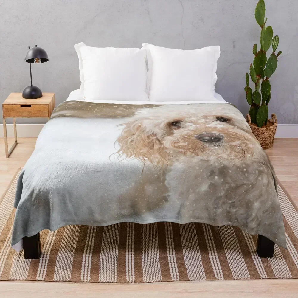 

A beautiful Cockapoo in the snow Throw Blanket valentine gift ideas Furrys Flannel Blankets Fashion Sofas Giant Sofa Blankets