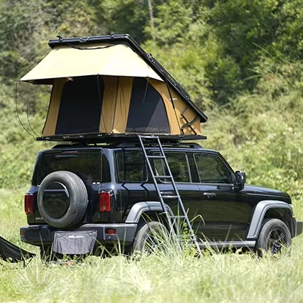 Xsu New Trend Tent Hard Shell Camping Outdoor Roof Tent With High Quality