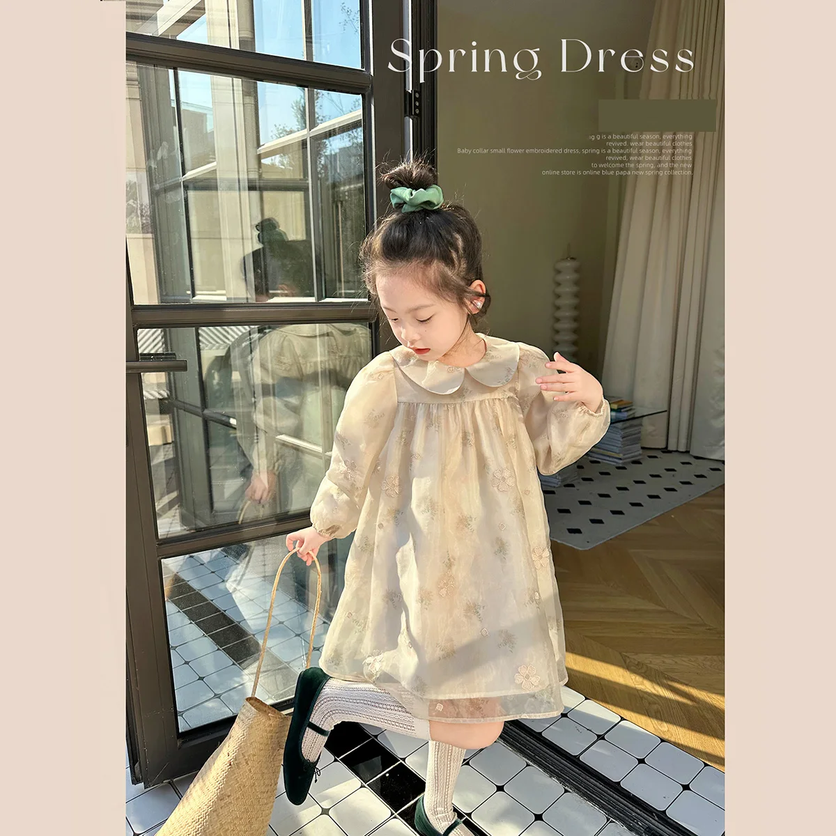 

Baby Neck Dress 2023 Spring New Korean Fashion Long Sleeve Mesh A-line Skirt Exquisite Embroidery Print TC Cotton Princess Skirt