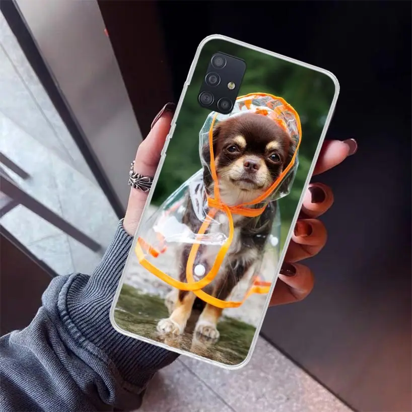 Chihuahua Puppy Teacup Dogs Phone Case for Samsung Galaxy A51 A71 A41 A31 A21S A11 A01 A50S A70 A40 A30S A20E A20S A10S A6 A7 A8