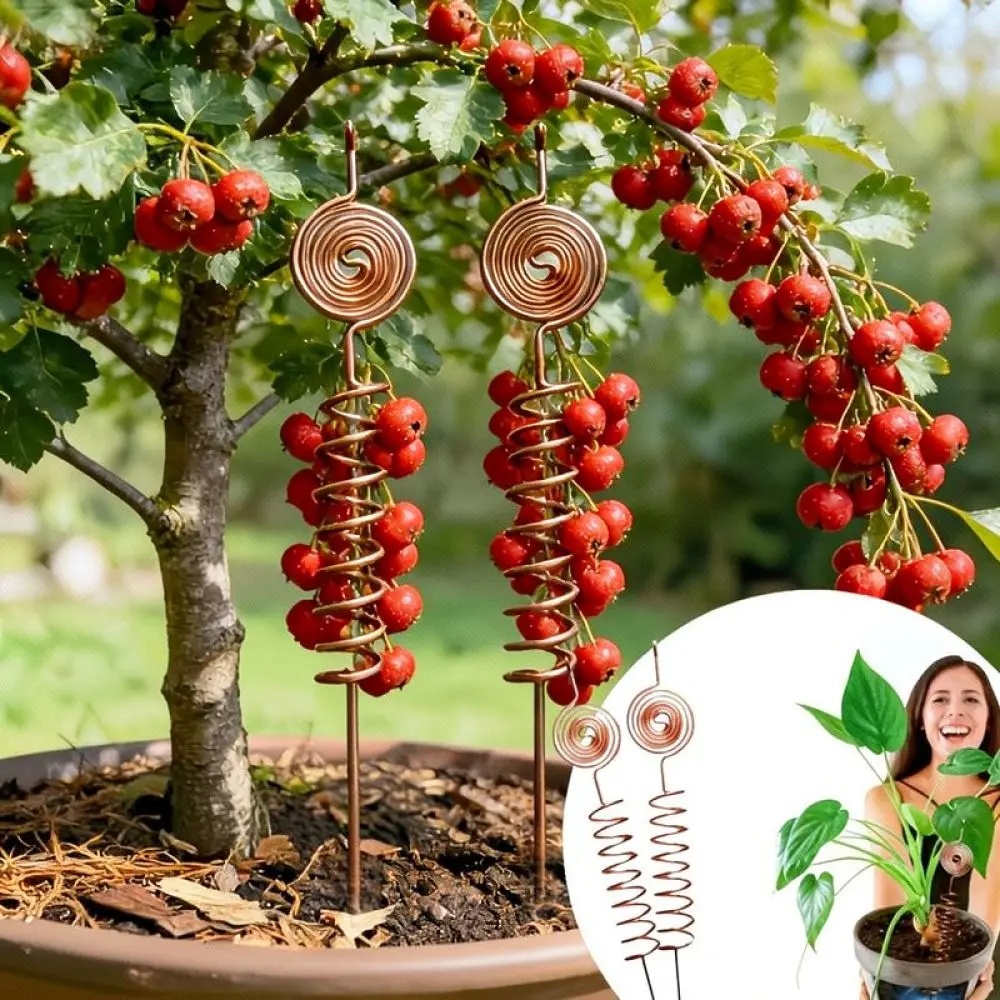 Artistic Bronze Metal Spiral Stake Garden Outdoor Ornament Creative Lawn Decoration Yard Landscape Feature Decor